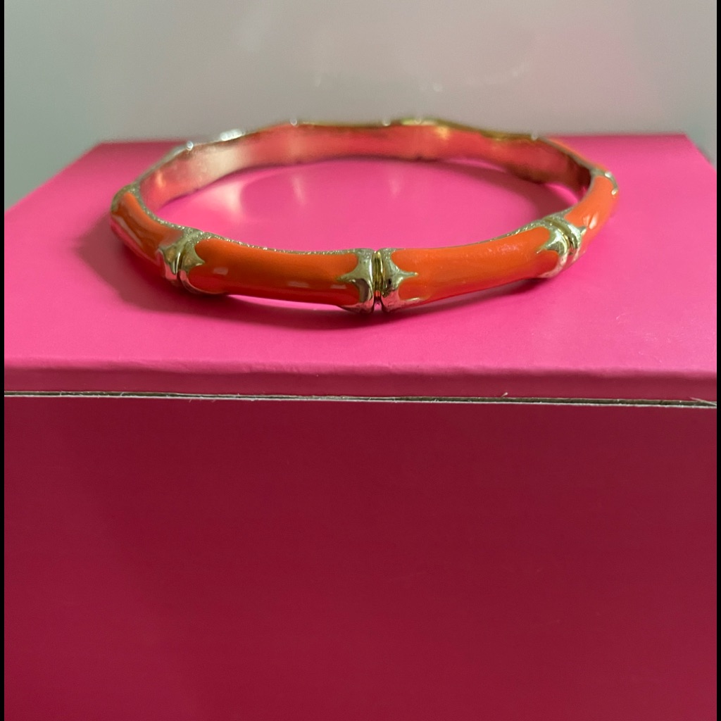 Nwot Fornash Enamel Bamboo Bangle